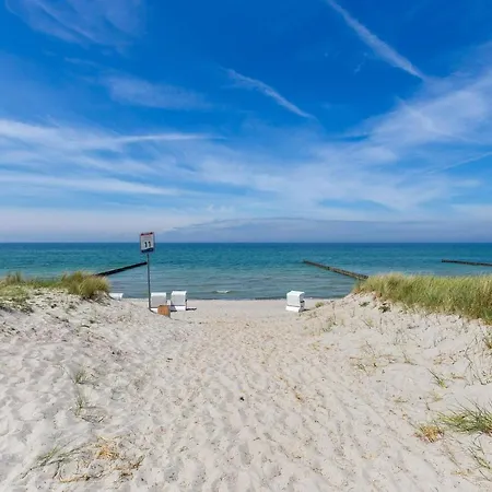 Muschel 4 * Ahrenshoop