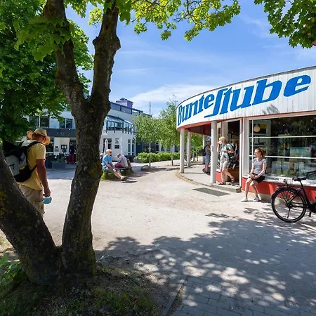 Apartman Muschel 4 Ahrenshoop